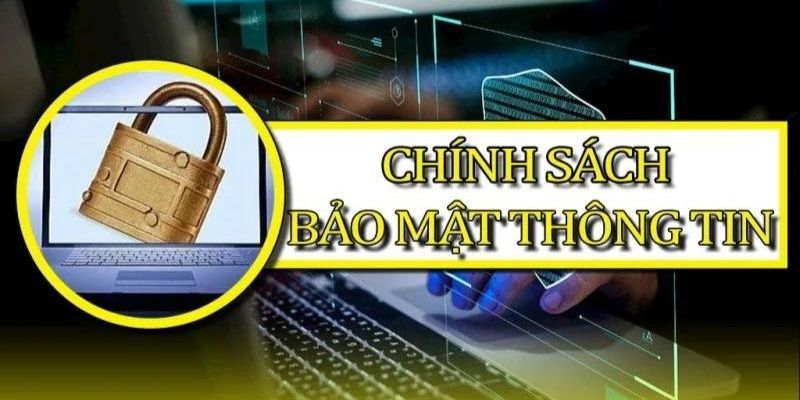 Điều khoản về thu thập và sử dụng thông tin người chơi